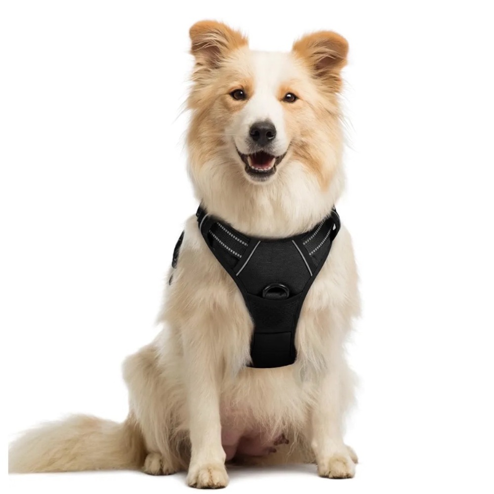NWOT Rabbitgoo No Pull Dog Harness In Black, M